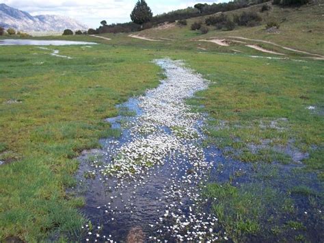 ¿qué Ver En Becerril De La Sierra ¿qué Lugares Visitar 2024