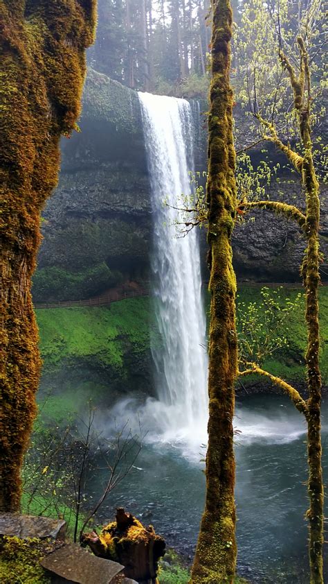 Visit Silver Falls State Park In Oregon Expedia