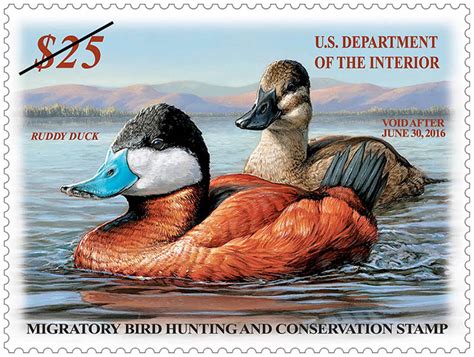 2015 16 Federal Duck Stamp Gummed Rw82 Artist Signed With Print