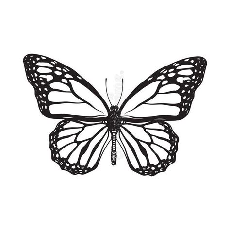 2020 popular 1 trends in beauty & health, home & garden with free butterfly tattoo stencils and 1. Butterfly outline in 2020 | Butterfly tattoo stencil ...