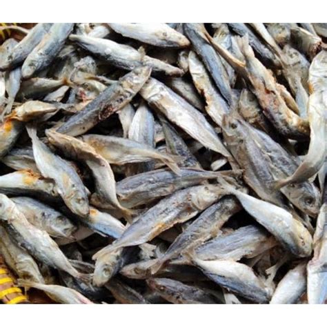 Jual Ikan Asin Klotok Ikan Asin Layang Shopee Indonesia