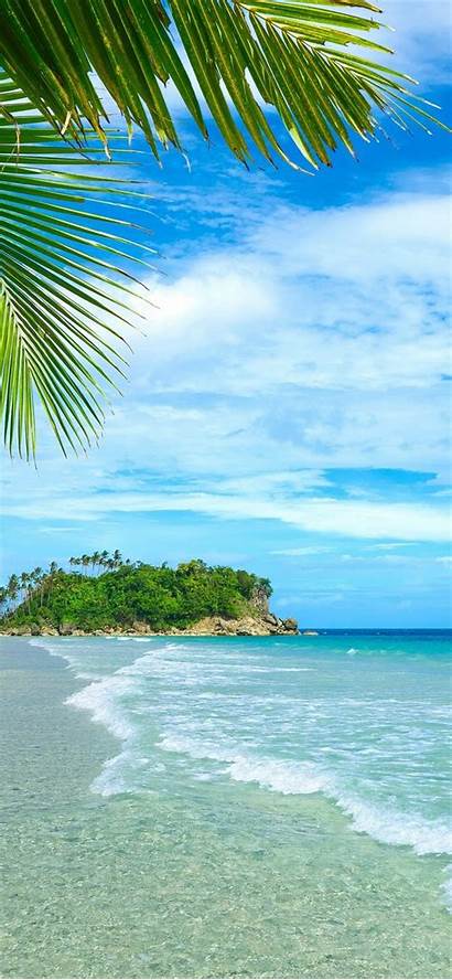 Tropical Beach Water Palm Trees Sea Iphone
