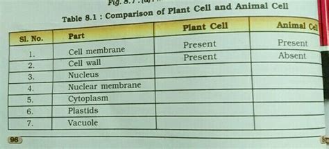 Sep 04, 2018 · to learn more about plant kingdom class 11, its characteristics and classification, explore byju's biology. animal: Plant Cell And Animal Cell Diagram For Class 8 Ncert