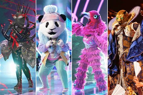 The Masked Singer Revealed : Here Are Your Revealed Masked 