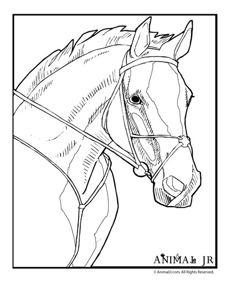 Small Horse Head Coloring Page Coloring Pages