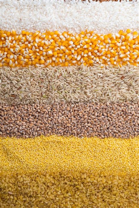 Collection Set Of Cereal Grains Stock Image Image Of Rice Corn 68558027
