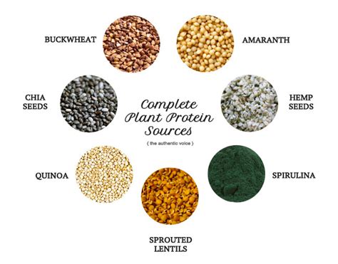 *these are foods considered a complete protein. Complete Plant Protein Sources | Plant protein, Complete ...