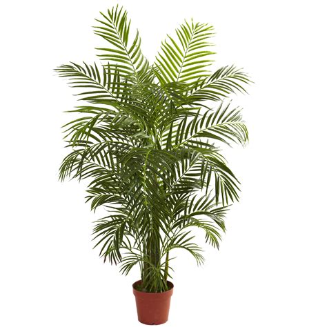 Learn more about moon valley nurseries trees and best practices for outstanding plant. 4'6" UV-Resistant Outdoor Artificial Areca Palm Tree w/Pot