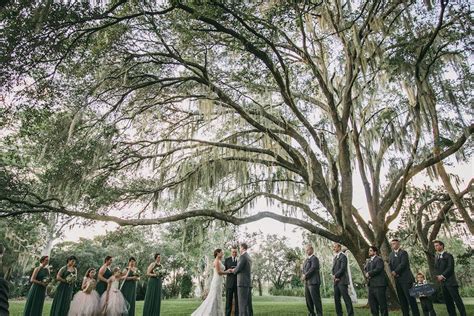 Outdoor Sarasota Wedding Ceremony Underneath Oak Tree Sarasota