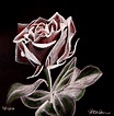 White Charcoal Rose by jessicamelrose on DeviantArt