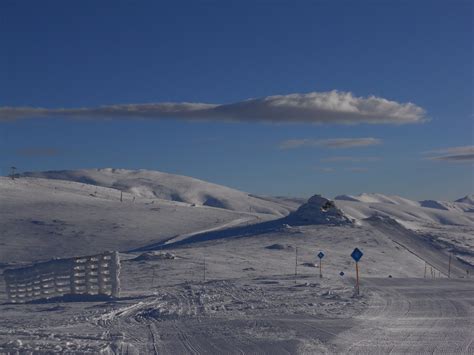 Slikestareplanine8 Stara Planina Šum