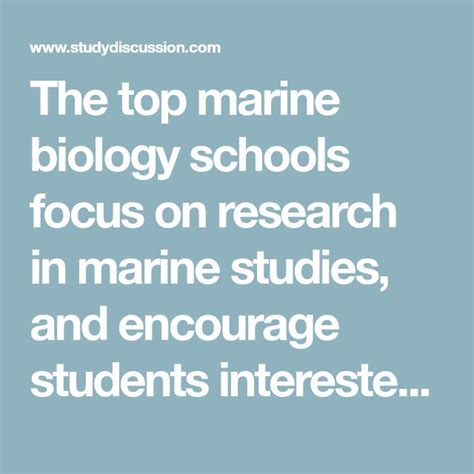 The Top Marine Biology Schools Focus On Research In Marine Studies And