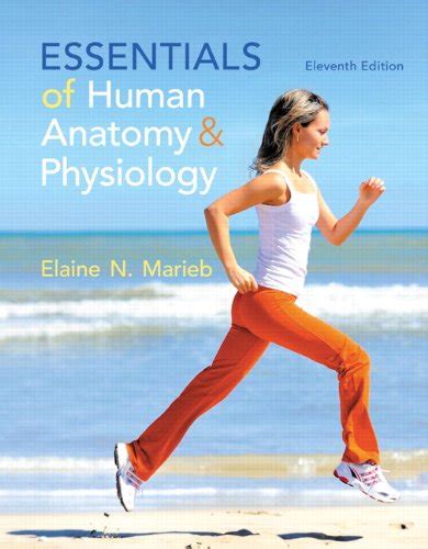 Essentials Of Human Anatomy And Physiology 11th Edition Let Me Read