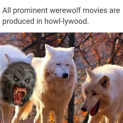 Werewolf Meme Discover More Interesting Dog Happy Scary Werewolf