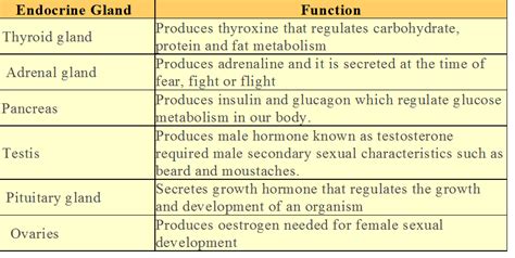 3 Animals Hormones Notes Ncert Solutions For Cbse Class 10 Science