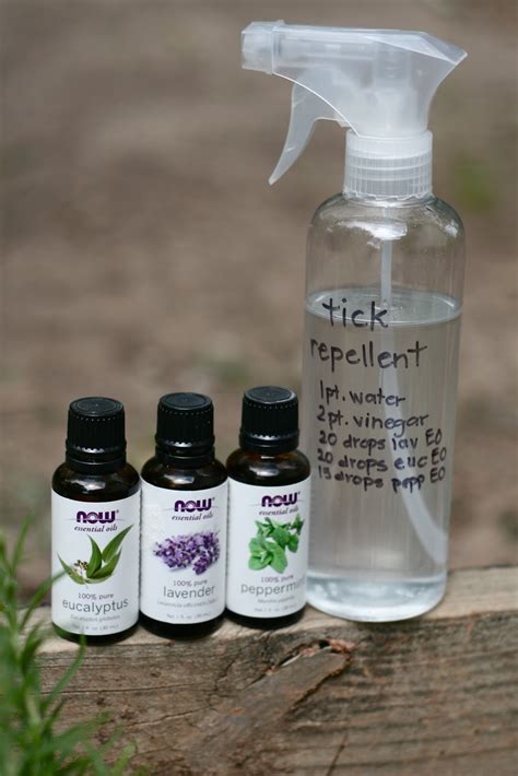 These can be used to make homemade cat repellent to keep them out use dried herbs found in the supermarket in bottles as effective repellents. Kornerstone Farms: Easy DIY Natural TICK Repellent