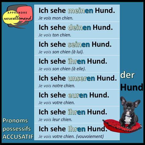 Les Pronoms Possessifs En Allemand Apprendre Naturallemand German