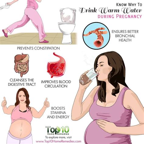 6 reasons to drink warm water during pregnancy emedihealth healthy pregnancy tips pregnancy