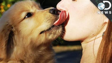 British Woman Almost Dies After Her Dog Licked Her Face The