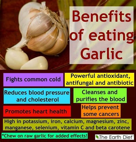 garlic benefits of eating garlic garlic benefits health and nutrition health tips health and