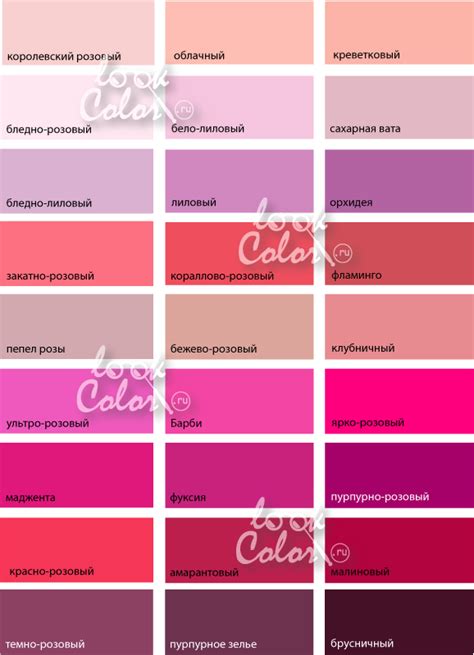 оттенки розового цвета Цветовые модели Цветовые палитры Схема