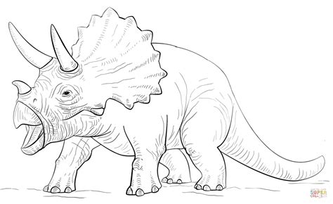 Dibujo De Dinosaurio Triceratops Para Colorear Dibujos Para Colorear