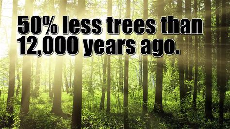 Why Planting A Tree Is The Most Important Thing You Can Do To Save The