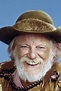 Denver Pyle — The Movie Database (TMDB)