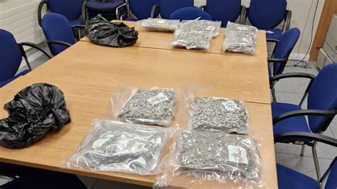 €180000 Of Suspected Cannabis Seized Westmeath Examiner