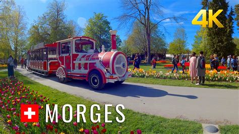 Morges Switzerland Morges Tulip Festival A Real Jewel In The Lake