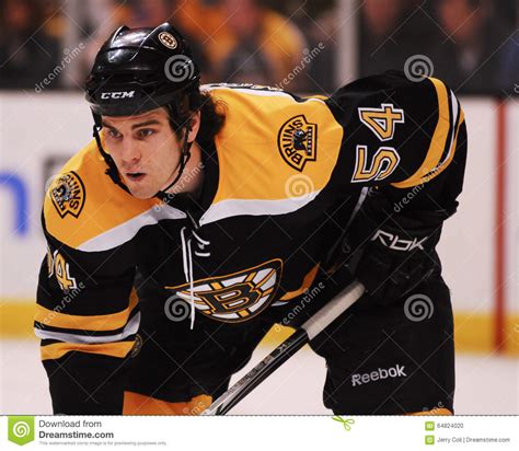 Adam Mcquaid Boston Bruins Editorial Image Image Of Adam 64824020