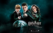 Crítica de la película: Harry Potter y la Orden del Fénix de David ...