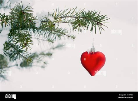 Red Heart Shaped Christmas Bauble On The Branch Of A Fir Tree Outdoors