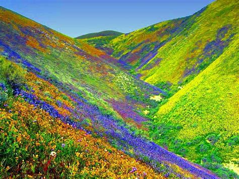 Pin By Rita G On Natural Fairytales Valley Of Flowers Beautiful