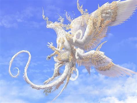 White And Gold Dragon Desktop And Mobile Wallpaper Wallippo