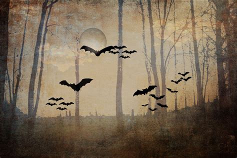 8 Free Halloween Textures For 2013 Ibjennyjenny Free Resources