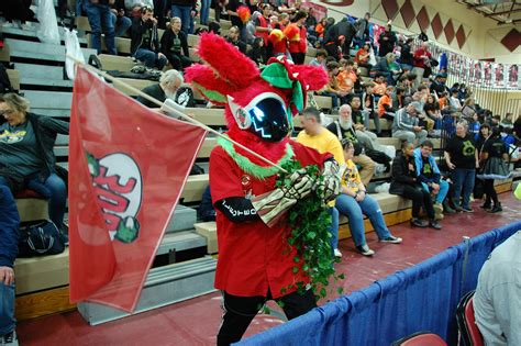 Team 308 - Walled Lake Robotics