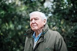 The Extraordinary Legacy of Sir David Attenborough - The Mozinity
