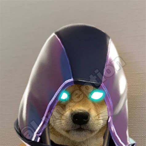 1080 X 1080 Doge á´á´ É¢ ÉªÉ´sÉªá´á´‡ á´›Êœá´‡ É¢á´€É´É¢ On