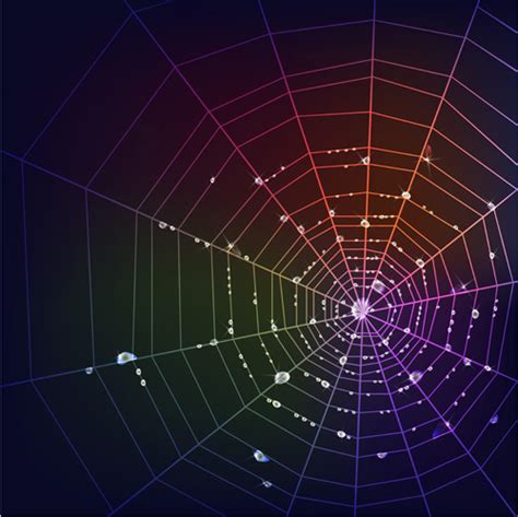 Download Spider web free vector download (5,047 Free vector) for commercial use. format: ai, eps, cdr ...