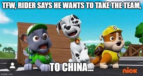 Paw Patrol Shocked Rocky Marshall And Rubble Memes Imgflip