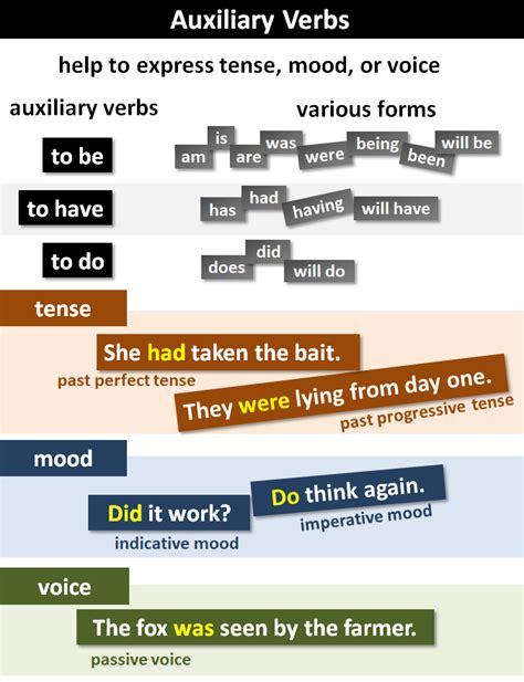 Auxiliary Verbs What Are Auxiliary Verbs Hot Sex Picture