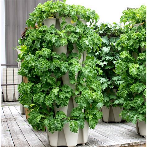 You Can Grow Up To 30 Plants In These Space Saving Vertical Garden