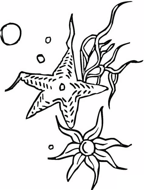 Desenhos De Estrelas Do Mar Para Colorir Pintar E Imprimir