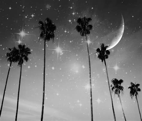 Black And White Starry Night Photograph By Marianna Mills