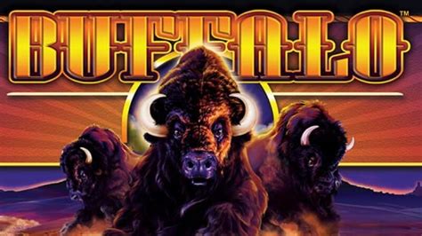 Buffalo Slots Online Free To Play Buffalo Games In Michigan