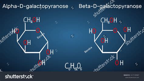 Galactose Alphadgalactopyranose Betadgalactopyranose Milk Sugar