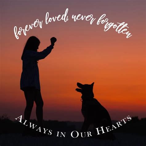 It takes us back to brighter years, to happier sunlit days and to precious moments that will be with us always. Pet Loss Quotes, Poems & More to Honor Your Furry Friend ...