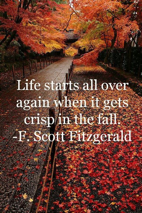 Scott Fitzgerald Fitzgerald Quotes Montag Motivation Autumn Quotes