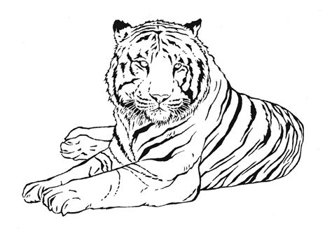 Detailed Coloring Page Of A Relaxing Tiger
